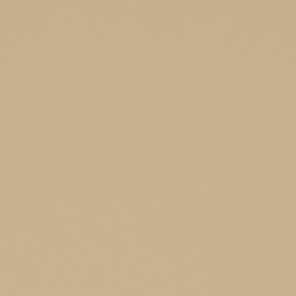 Terre de sienne Peintures Érika