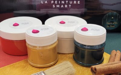 Packs Spéciaux noël – réseau stylistes couleurs