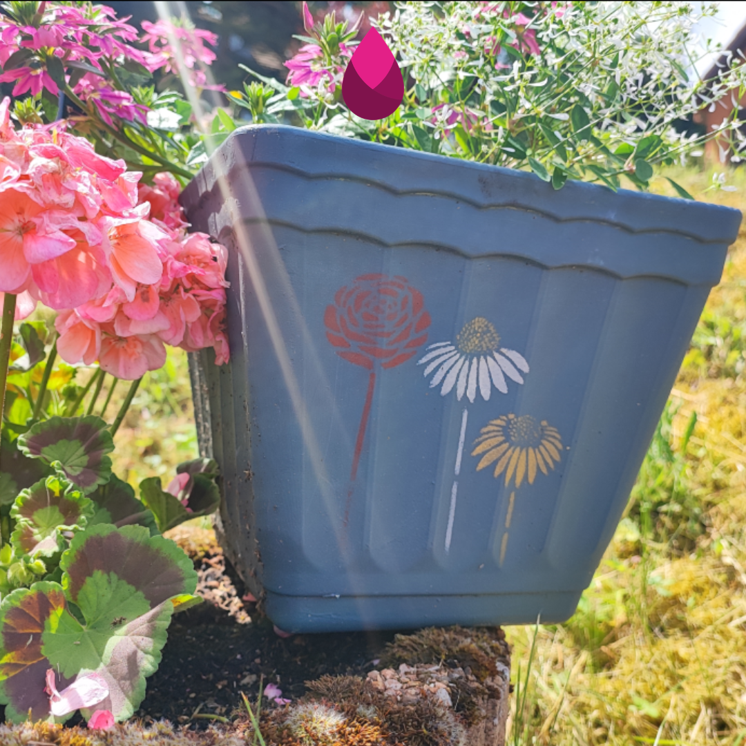 ErikaBox — Jardin Insolent – Image 2
