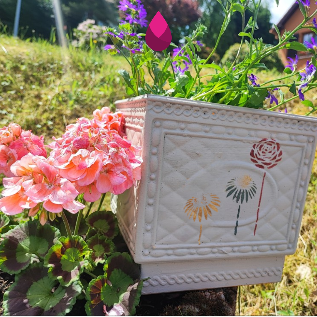 ErikaBox — Jardin Insolent – Image 3