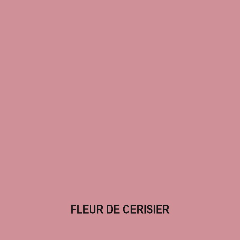 fleur de cerisier