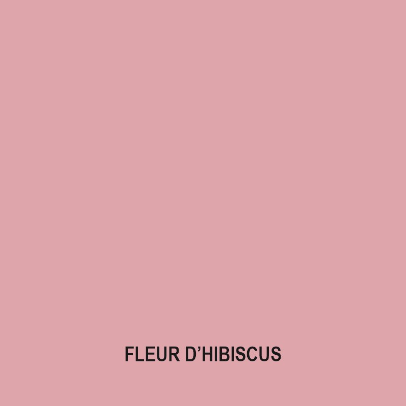 fleur dhibiscus