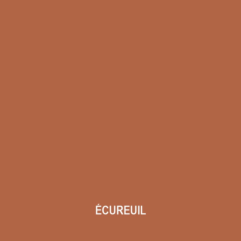 ecureuil