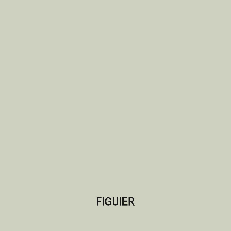 figuier