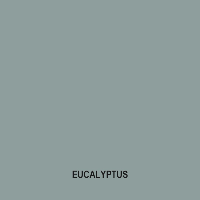 eucalyptus