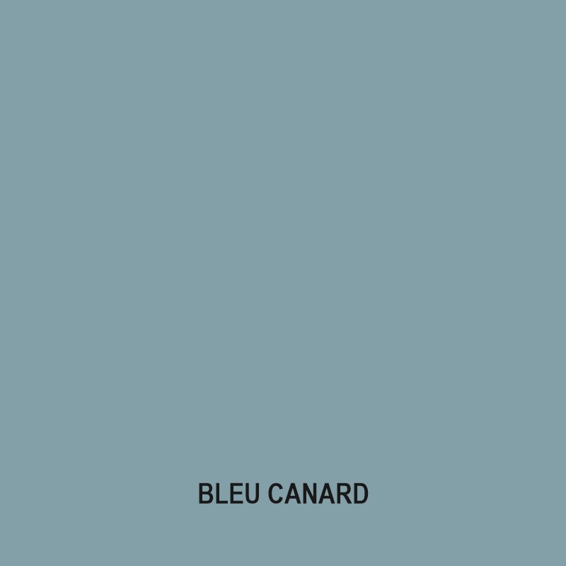 bleu canard