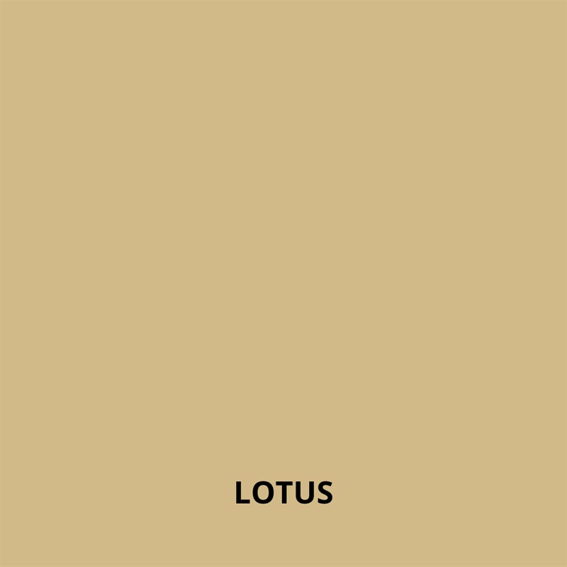 lotus