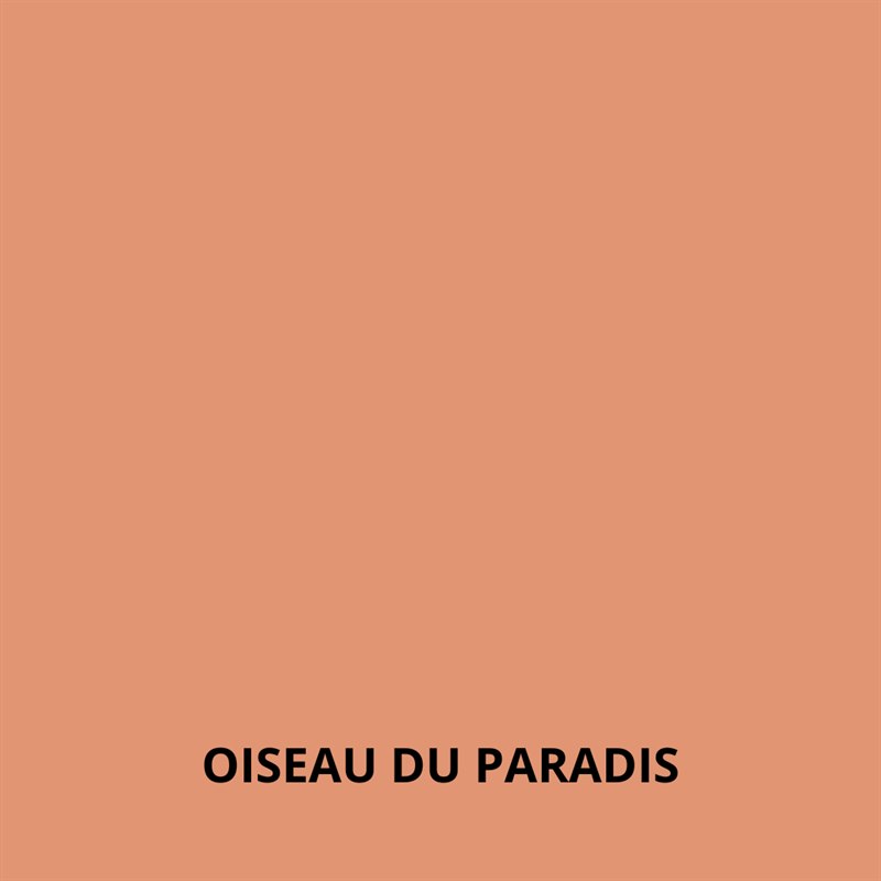 oiseau du paradis